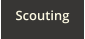 Scouting